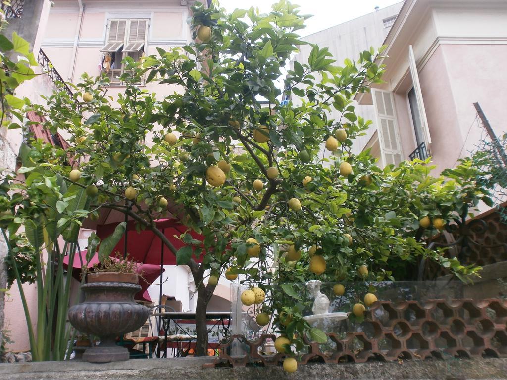 Villa Saphir Niza Exterior foto